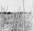 Recondite-On Acid / Acid Test/ Absurd