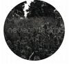 Nyra-Best Of / Never Learned