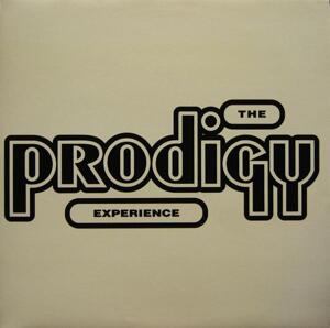 Vinyl - Dubstep/Grime/Dub - The Prodigy-Experience / XL Recordings