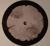 Bleak-Ekko / Deeply Rooted House