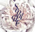 Sepalcure-Sepalcure / Hotflush