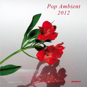Vinyl - Electronic/Experimental/Beats - Va-Pop Ambient 2012