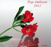 Va-Pop Ambient 2012